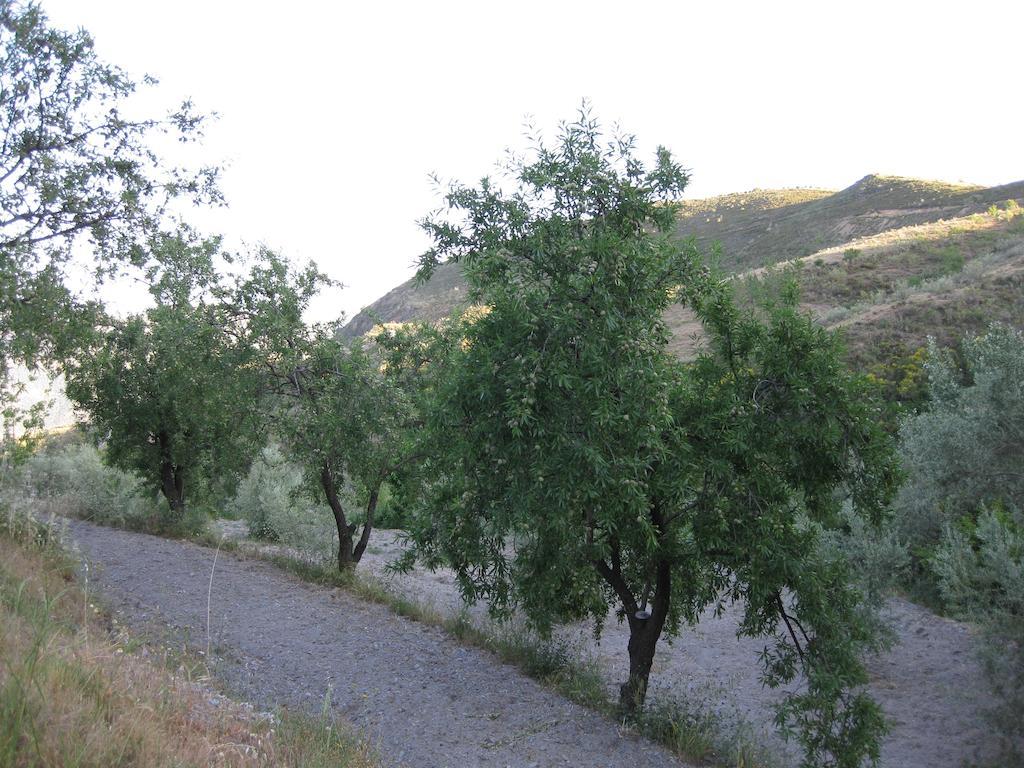 Bancal De Los Perez Carataunas Exterior foto